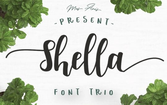 shella-script-font.jpg