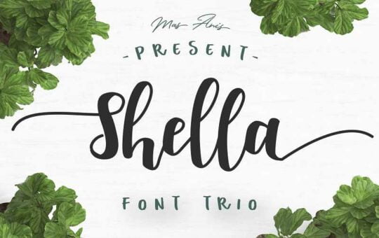 shella-script-font1.jpg