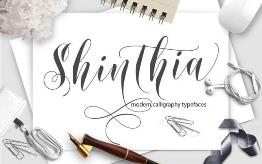 shinthia-script-preview-5-1.jpg