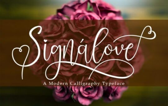 signalove-font.jpg