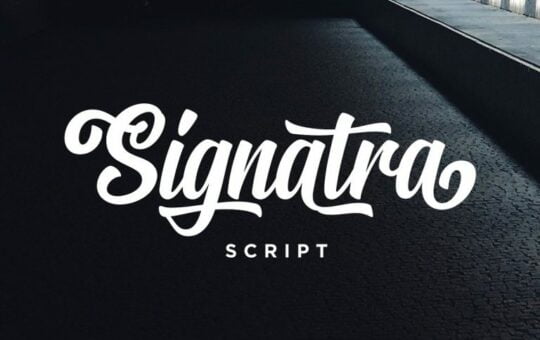 signatra-script-font-4-768x512-1.jpg