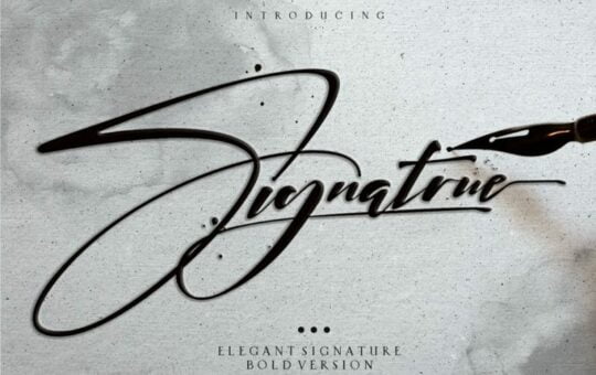 signatrue-elegant-signature-font-768x512-1.jpg