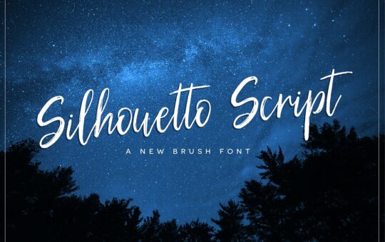 silhouetto-script-font.jpg