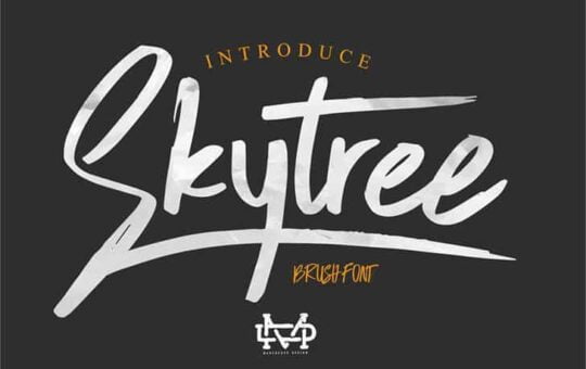 skytree-script-brush-font-1.jpg