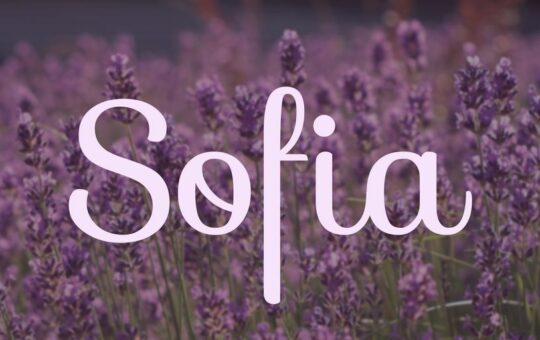 sofia-font.jpg