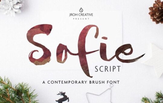 sofie-script-font-1.jpg