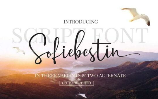 sofiebestin-script-font1.jpg