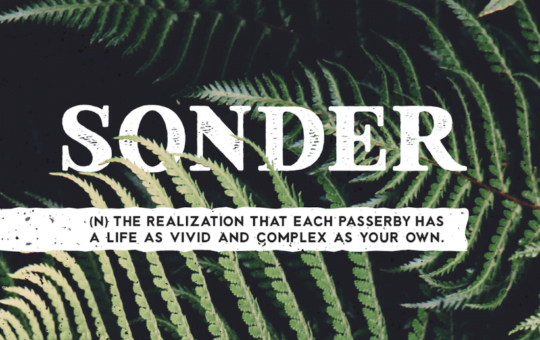 sonder-font-family-thumb.png