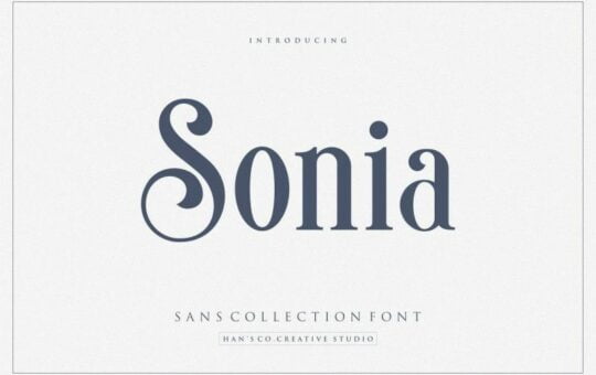 sonia-serif-font-1.jpg