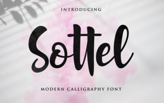 sottel-font-1.jpg