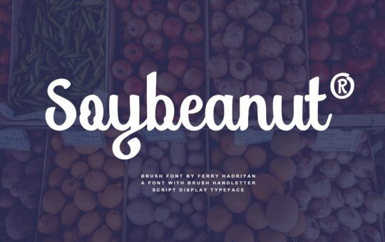 soybeanut-script-font.jpg