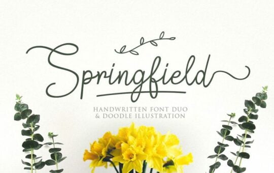 springfield-script-font-768x512-1.jpg