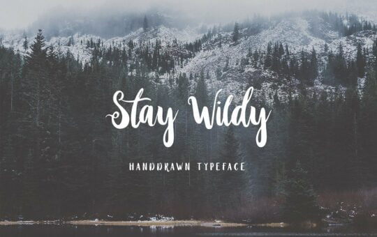 stay-wildy-script-font-1.jpg
