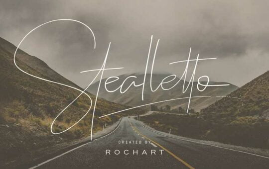 stealletto-signature-font1.jpg