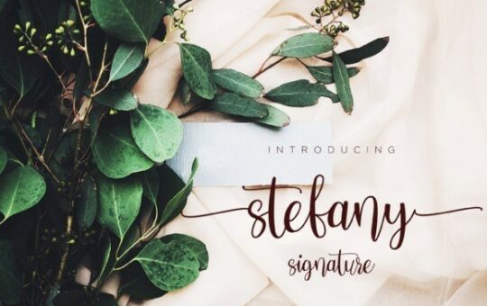 stefany-font-1.jpg