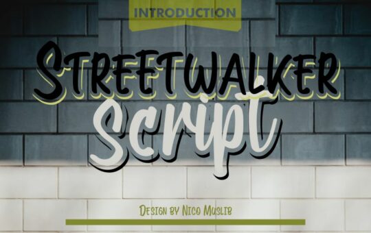 streetwalker-script-font-1.jpg