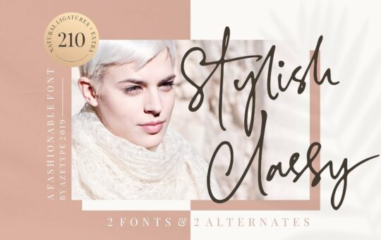 stylish-classy-script-font.jpg