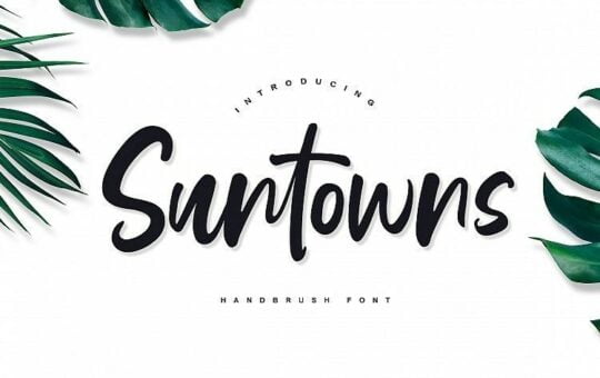 suntowns-script-font.jpg