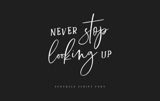 sunydale-font-family-1.jpg
