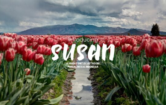 susan-brush-font.jpg