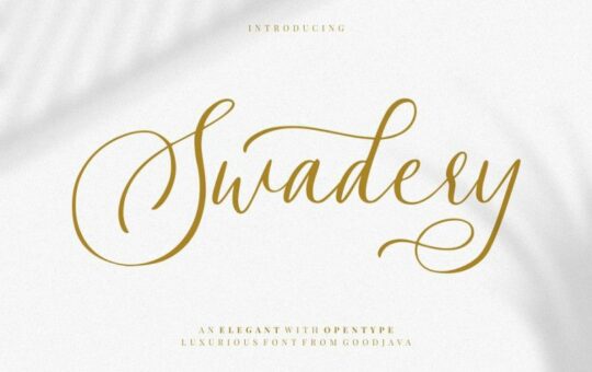 swadery-script-font.jpg