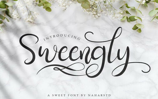 sweengly-script-font-1.jpg