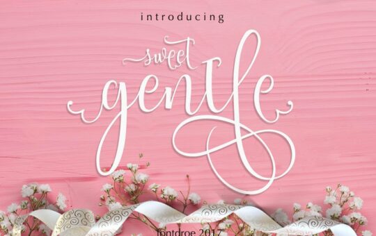 sweetgentle-script-font.jpg