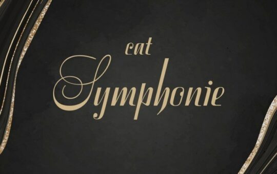 symphonie-font.jpg