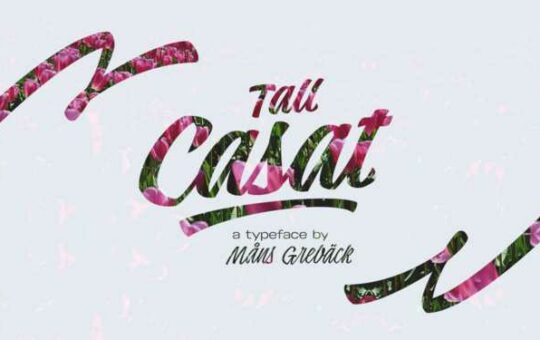 tall-casat-script-font.jpg
