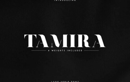 tamira-typeface-768x512-1.jpg
