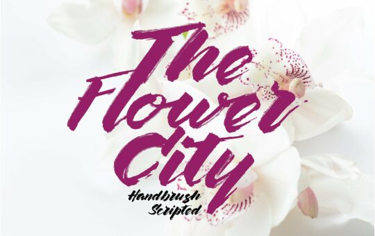 the-flower-city.jpg