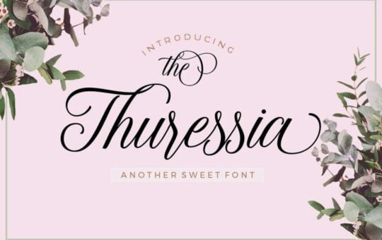 thuressia-script-font-768x512-1.jpg