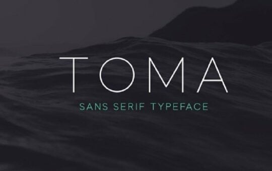 toma-sans.jpg