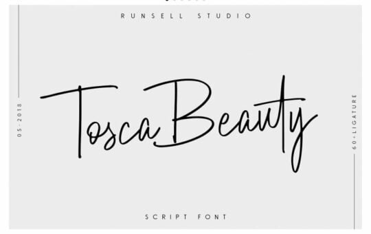 tosca-beauty-script-font-768x512-1.jpg