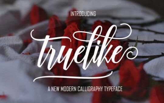 truelike-script-font.jpg