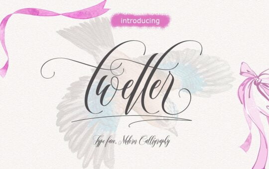twetter-script-font.jpg