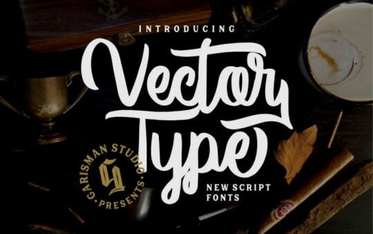 vector-type-script-font-4-768x512-1.jpg