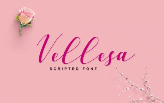 vellesa-script-font.jpg