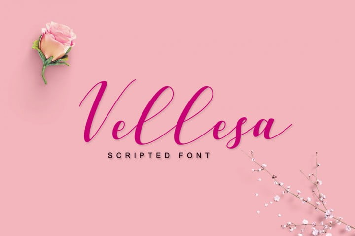 vellesa-script-font.jpg