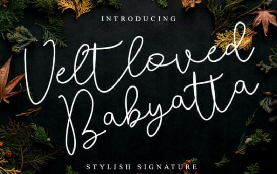 veltloved-babyatta-font-1.jpg