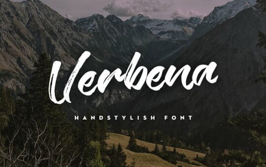 verbena-handstylish-fontverbena-handstylish-fontverbena-font.jpg