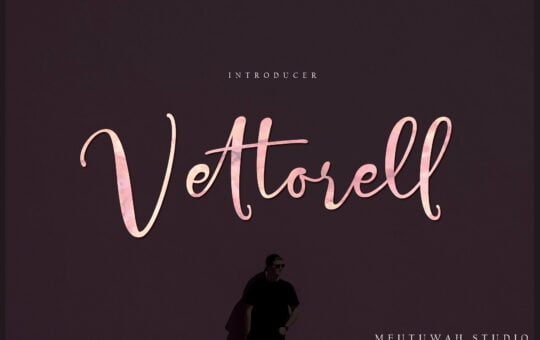 vettorell-script-font.jpg