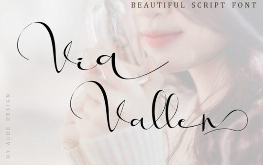 via-vallen-calligraphy-font-768x512-1.jpg