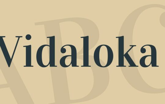 vidaloka-font.jpg