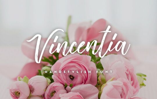 vincentia-handstylish-font.jpg