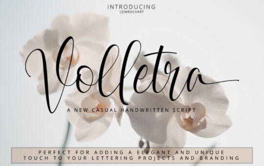 volletra-script-free-font.jpg