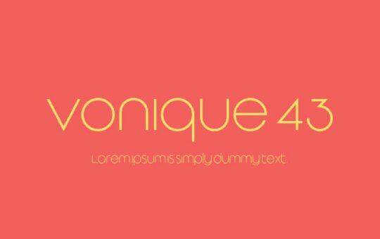 vonique-43-741x415-775e09059e.jpg