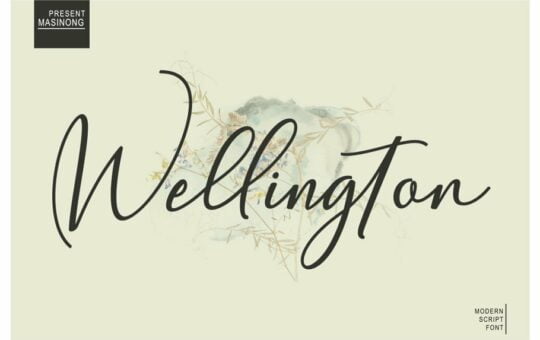 wellington-script-font.jpg