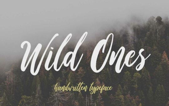 wild-ones-script-font-2.jpg