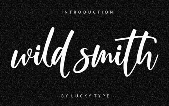 wild-smith-modern-script-font.jpg